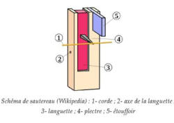 Schéma de sautereau (Wikipédia)