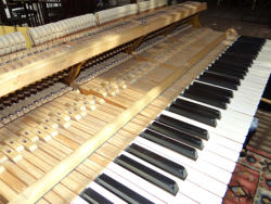 Clavier piano Beichstein